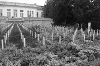 Spiegelgrund Wien Mahnmal