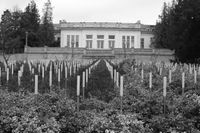 Spiegelgrund Wien Mahnmal