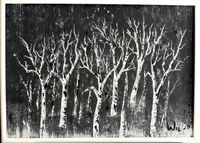 nighttrees 50x70cm, acryl
